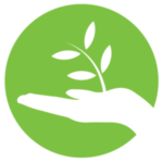 plant a tree
